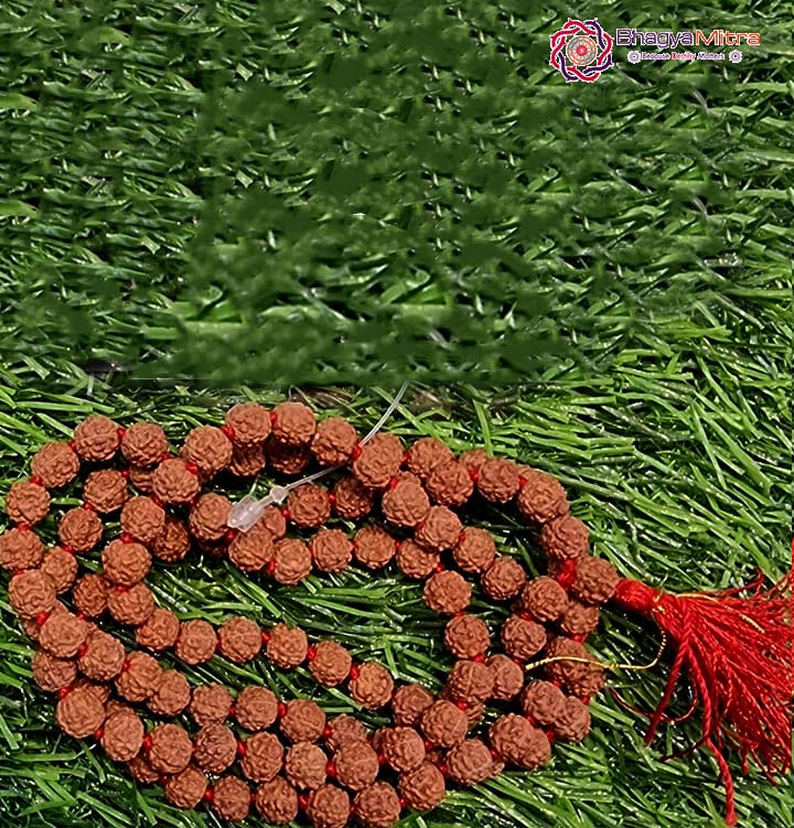 5 Face Rudrakash Mala 7Mm 108 Beads